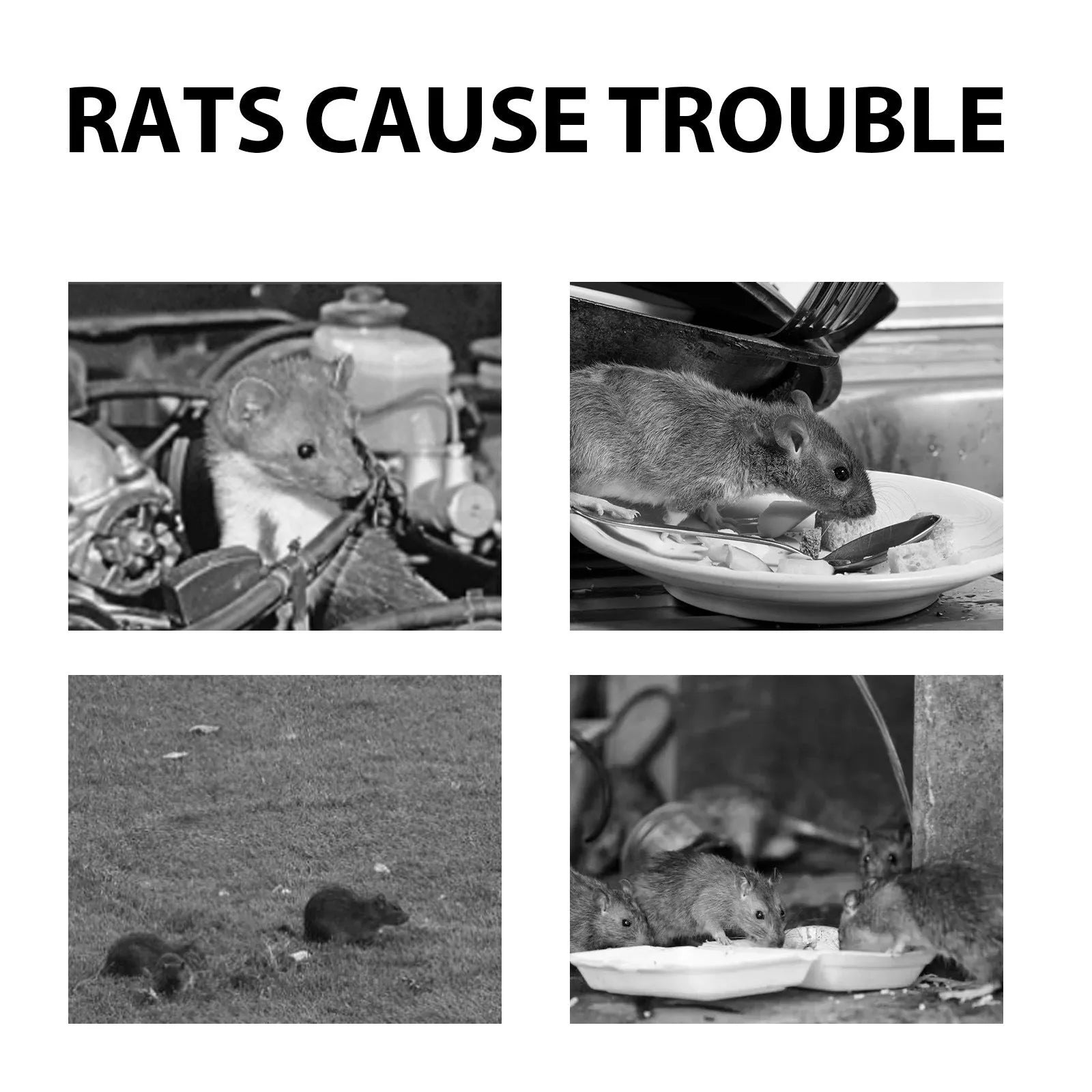 60ml natural rat repellent spray bottle with clove and peppermint oils for outdoor and car use