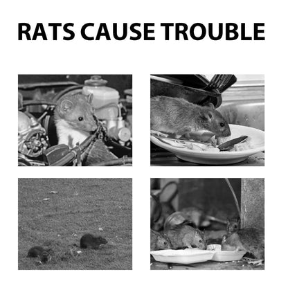 60ml natural rat repellent spray bottle with clove and peppermint oils for outdoor and car use