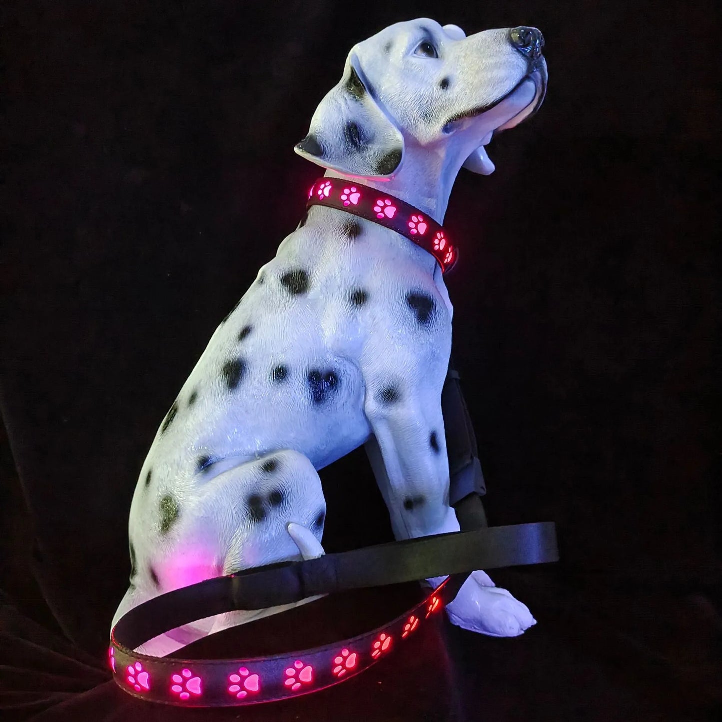 LED luminous cat collar with 7-colour lights, adjustable sizing, and USB charging port on a grey background