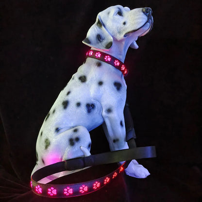LED luminous cat collar with 7-colour lights, adjustable sizing, and USB charging port on a grey background