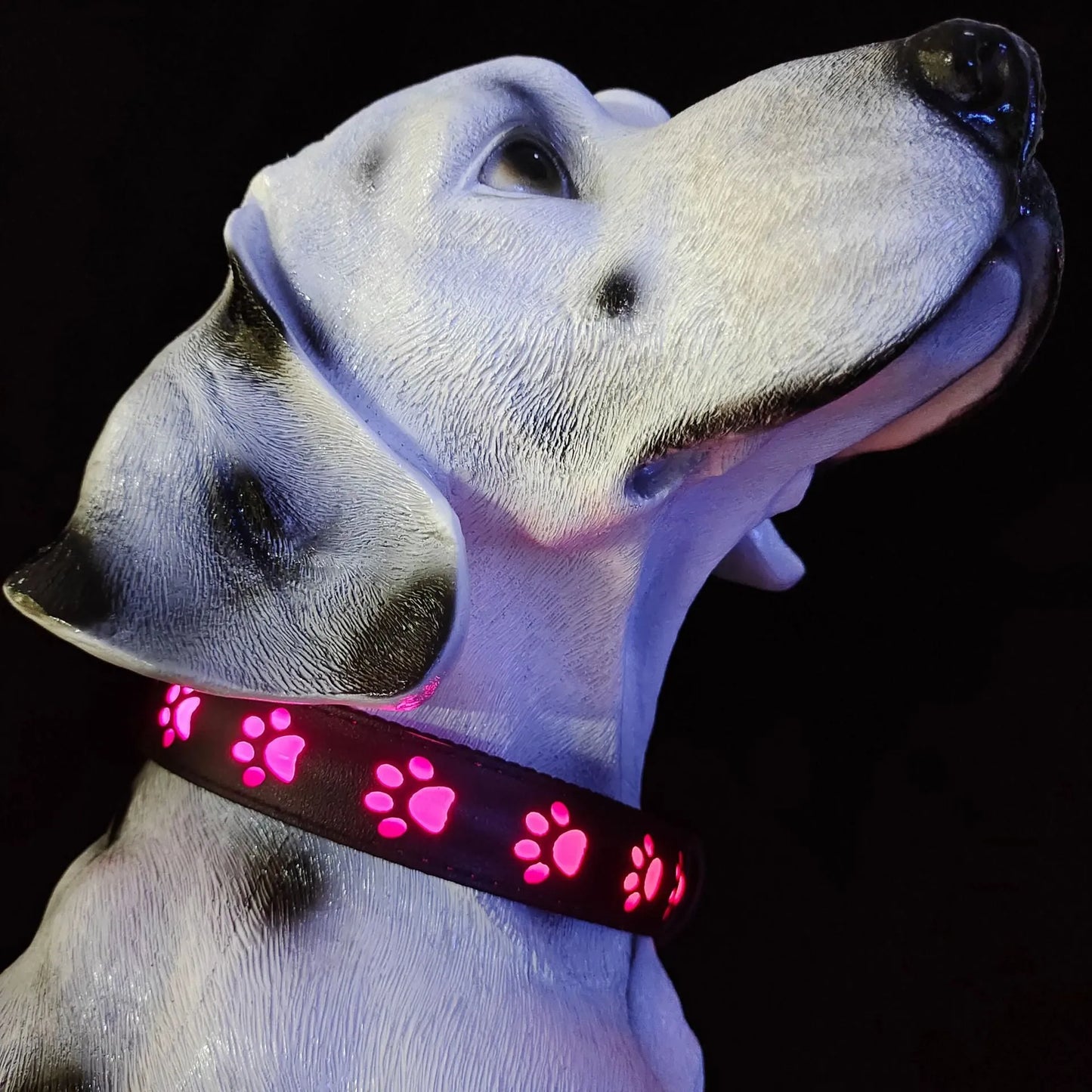 LED luminous cat collar with 7-colour lights, adjustable sizing, and USB charging port on a grey background