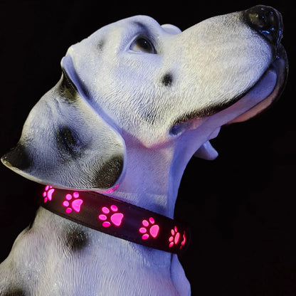 LED luminous cat collar with 7-colour lights, adjustable sizing, and USB charging port on a grey background