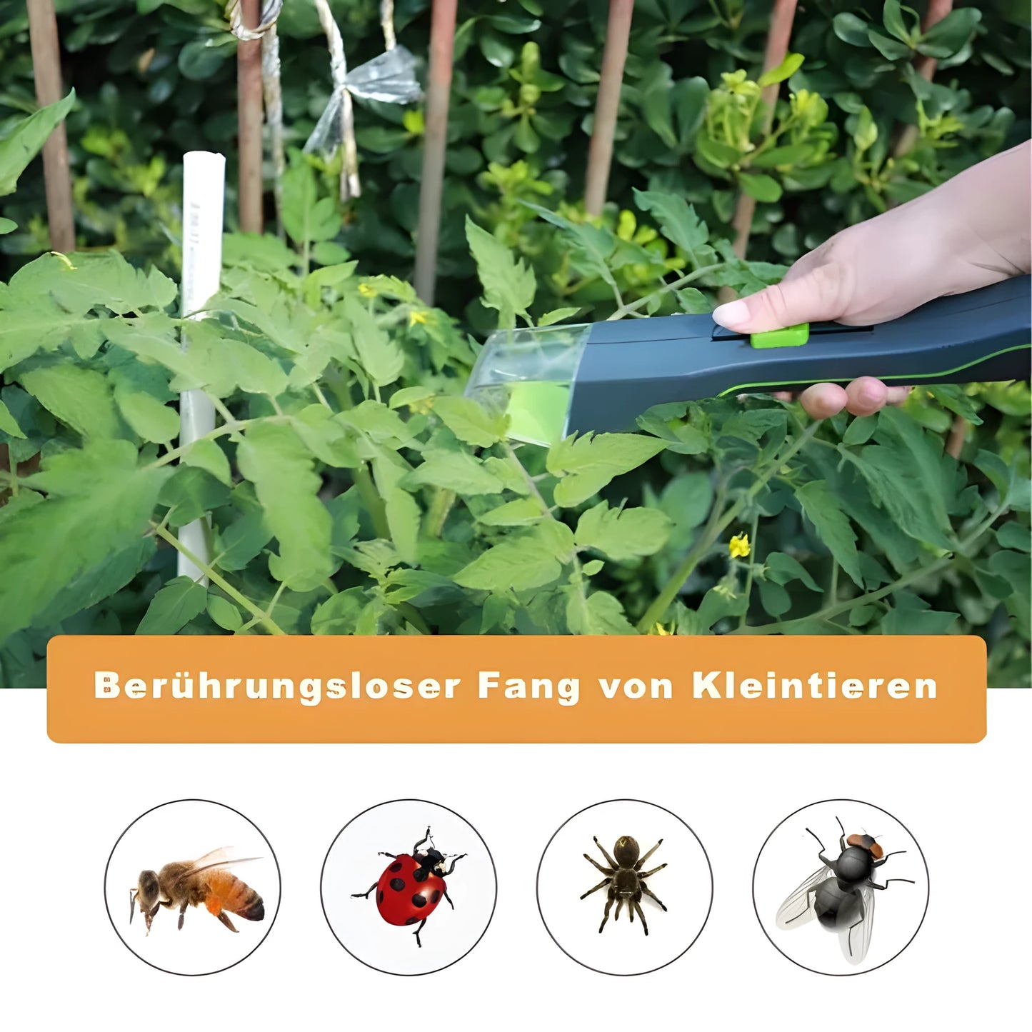 Green plastic handheld insect catcher for manual garden pest control