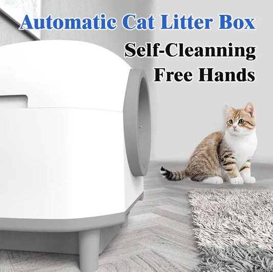 White automatic enclosed litter box for cats with dimensions 556mm x 512mm x 590mm