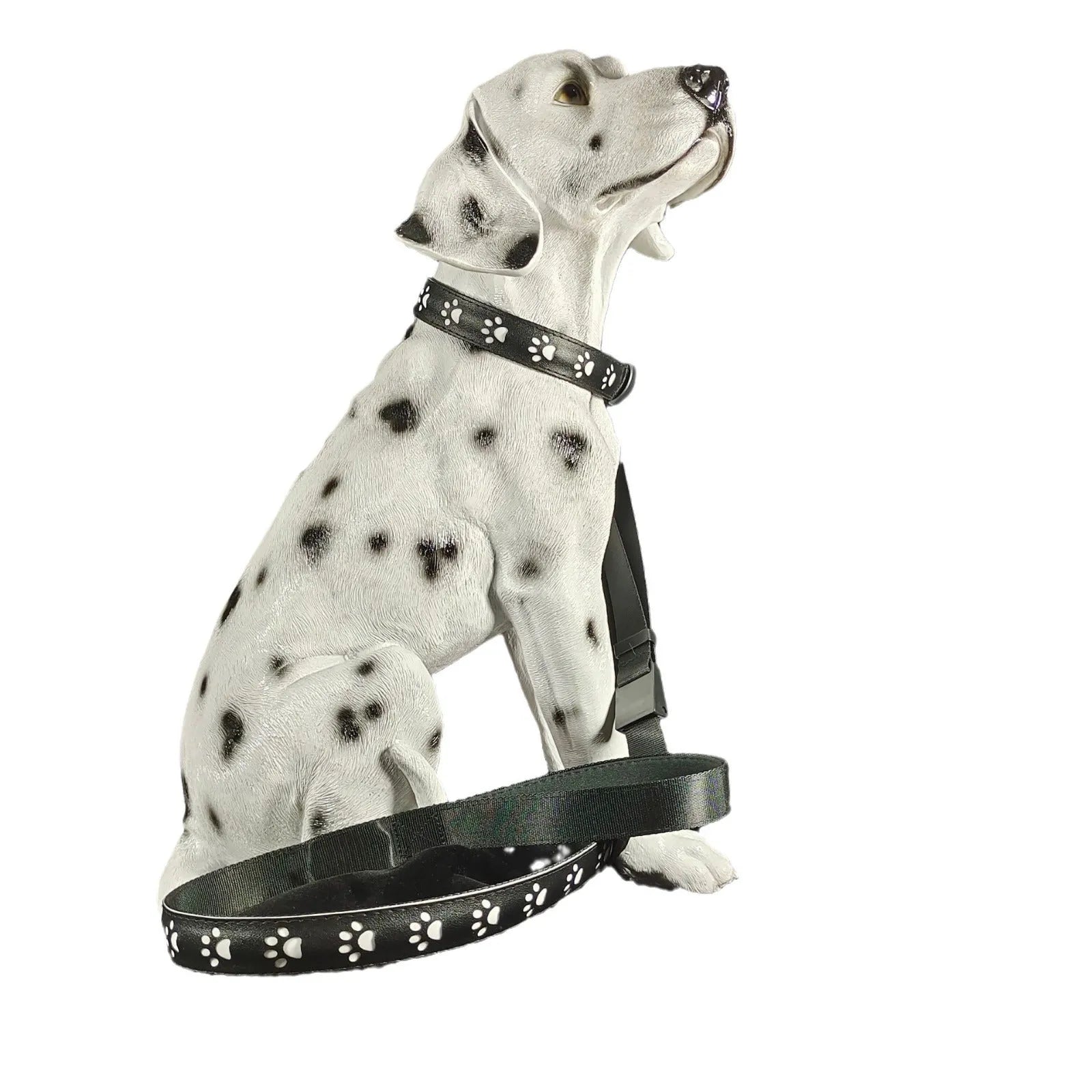 LED luminous cat collar with 7-colour lights, adjustable sizing, and USB charging port on a grey background