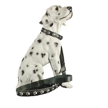 LED luminous cat collar with 7-colour lights, adjustable sizing, and USB charging port on a grey background