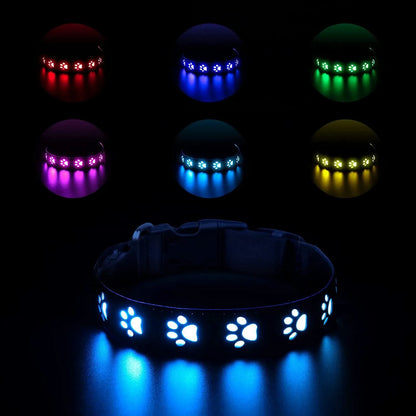 LED luminous cat collar with 7-colour lights, adjustable sizing, and USB charging port on a grey background