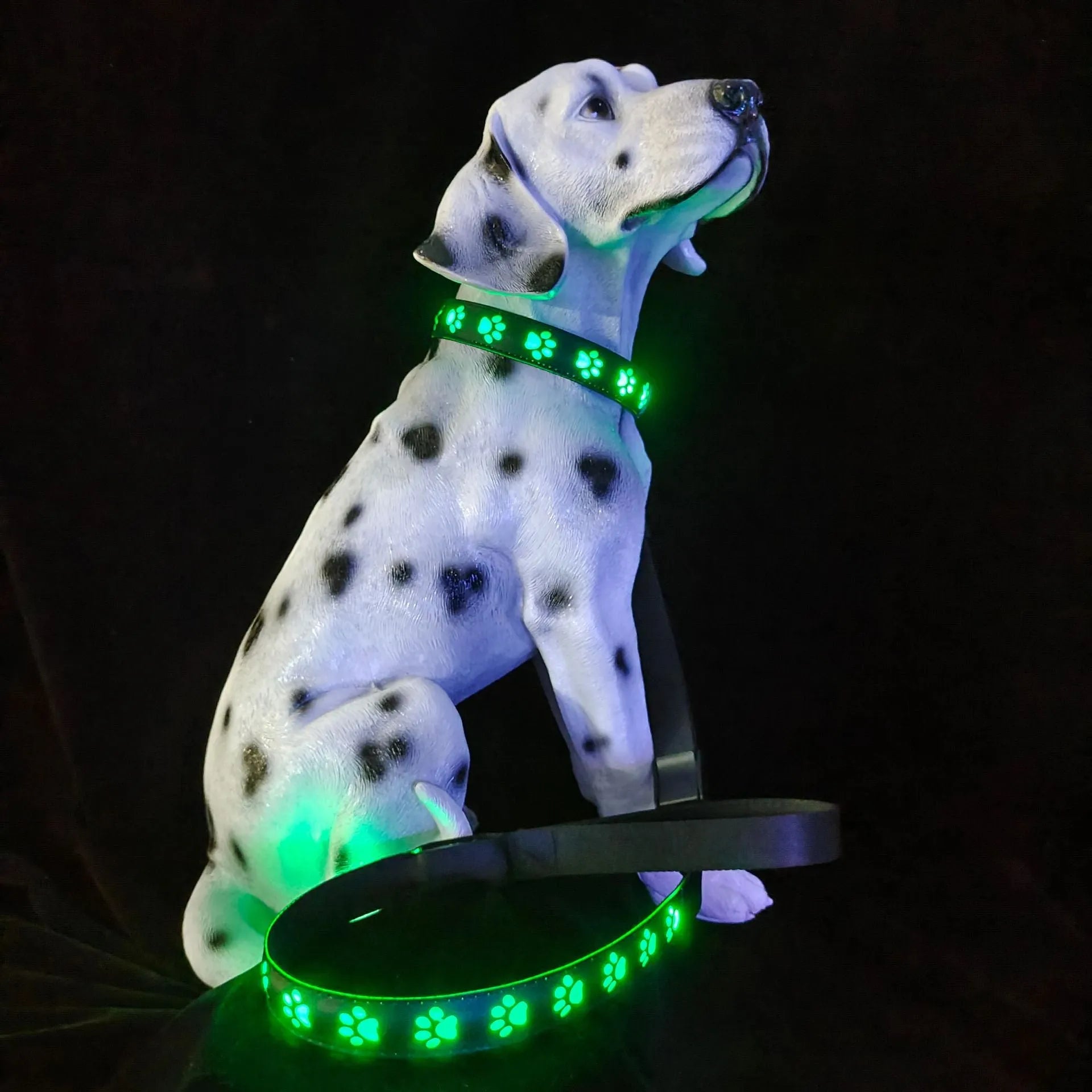 LED luminous cat collar with 7-colour lights, adjustable sizing, and USB charging port on a grey background