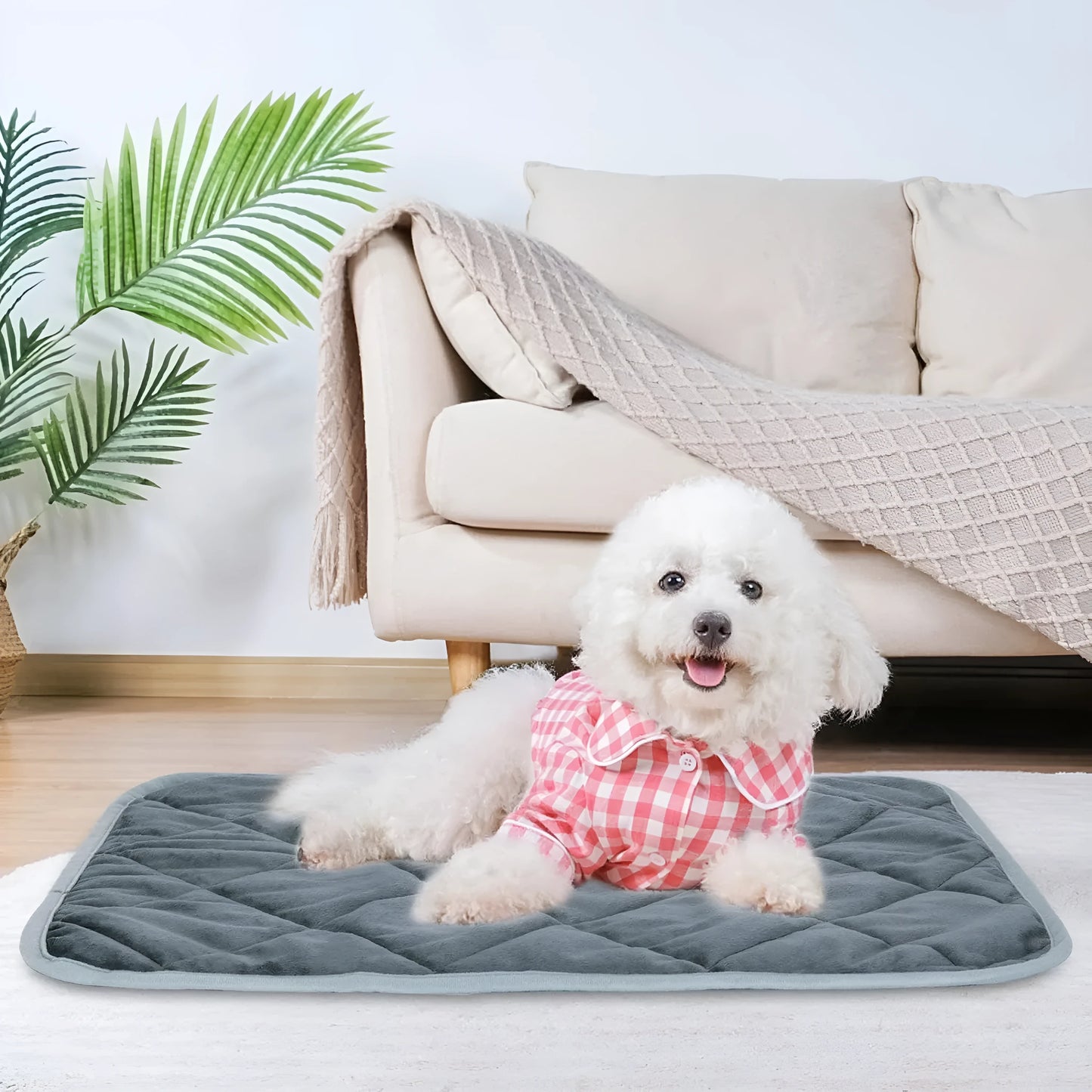 Soft grey multi-layer cloth pet cushion shown in a home setting.