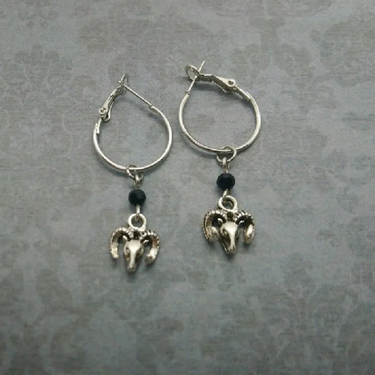 Silver round ring earrings with 2.5 cm diameter on display