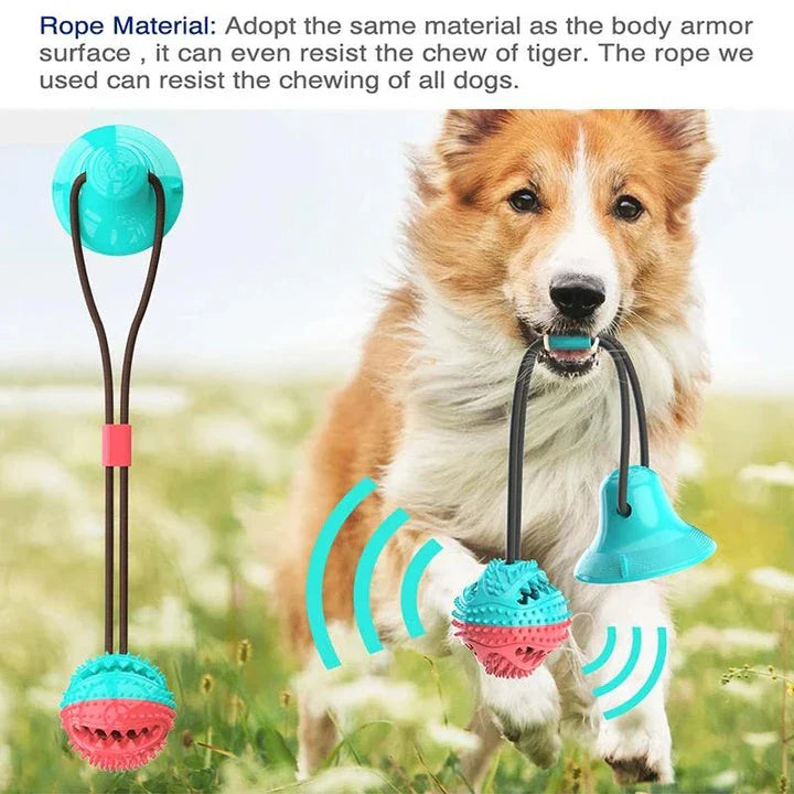 Interactive chew toy for large dogs with suction cup base, rope, and treat dispenser for dental care and entertainment