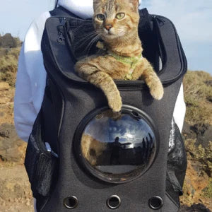 Aluminum alloy folding garbage clip picking device with rubber-tipped gripper and adjustable design for retrieving dropped items