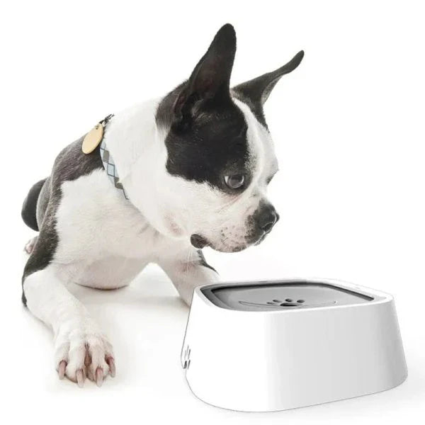 Hhomeenjoy  Anti-Spill Floating Pet Drinking Bowl