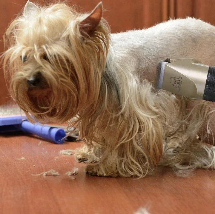 Premium Pet Grooming Tool with Adjustable Blade, Attachment Guides, and Rechargeable Battery