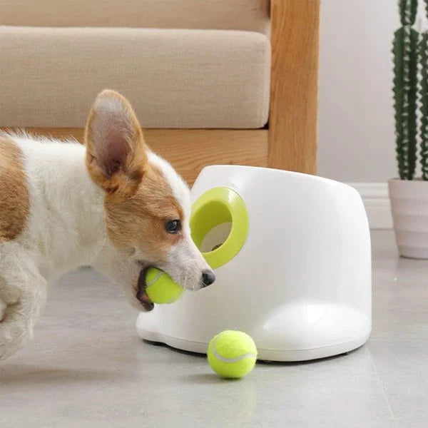 Automatic Dog Toy Ball Launcher with adjustable range and included tennis balls for interactive playtime