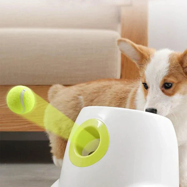 Automatic Dog Toy Ball Launcher with adjustable range and included tennis balls for interactive playtime