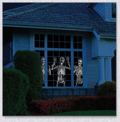 Halloween Holographic Projection - A versatile device that transforms your home into a spooky, immersive Halloween display with 12 pre-loaded holiday movies and built-in audio.