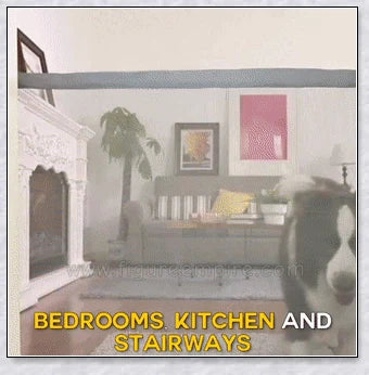 A black, adjustable pet gate made of high-quality mesh material, designed to safely contain pets and children in the home.