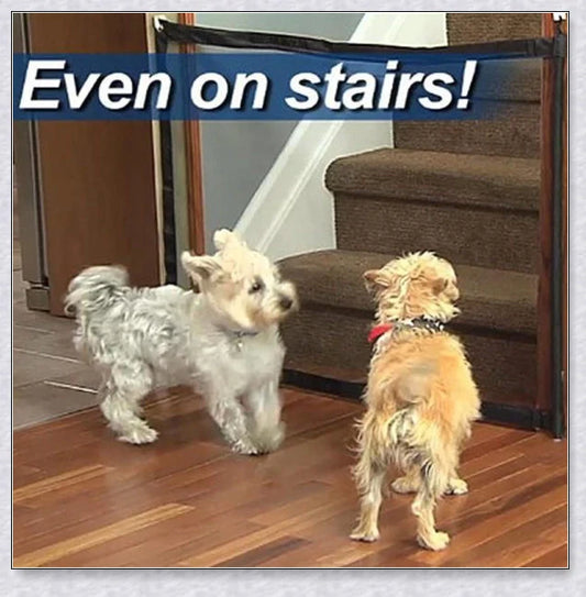 A black, adjustable pet gate made of high-quality mesh material, designed to safely contain pets and children in the home.