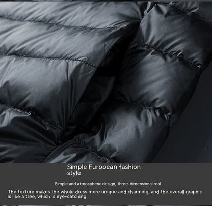 Autumn and Winter Men's Stand Collar Lightweight Down Jacket in various colors