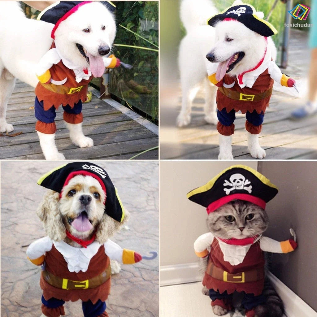 Adorable cat and dog wearing pirate-themed costumes with eye patches, bandanas, and treasure chest details