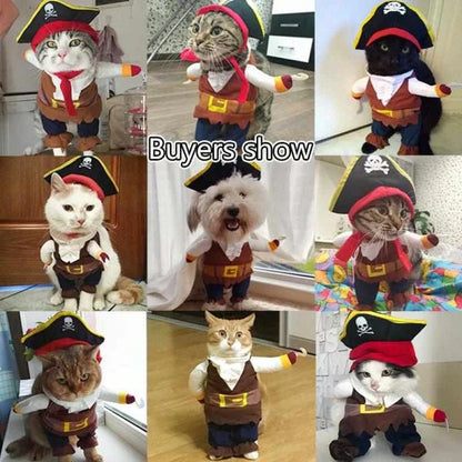 Adorable cat and dog wearing pirate-themed costumes with eye patches, bandanas, and treasure chest details
