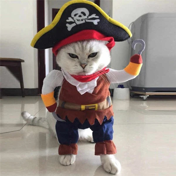 Adorable cat and dog wearing pirate-themed costumes with eye patches, bandanas, and treasure chest details