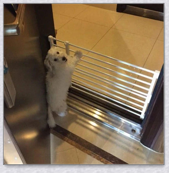 Retractable baby and pet safety gate with adjustable width and sturdy design for secure home protection