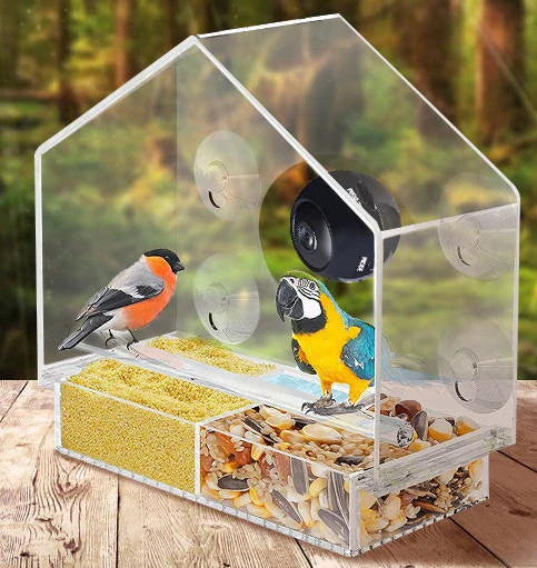 Smart Bird Feeder with Built-in Camera for Capturing Wild Birds in Your Backyard