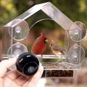 Smart Bird Feeder with Built-in Camera for Capturing Wild Birds in Your Backyard