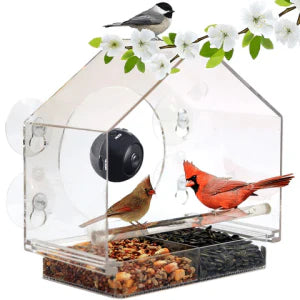 Smart Bird Feeder with Built-in Camera for Capturing Wild Birds in Your Backyard