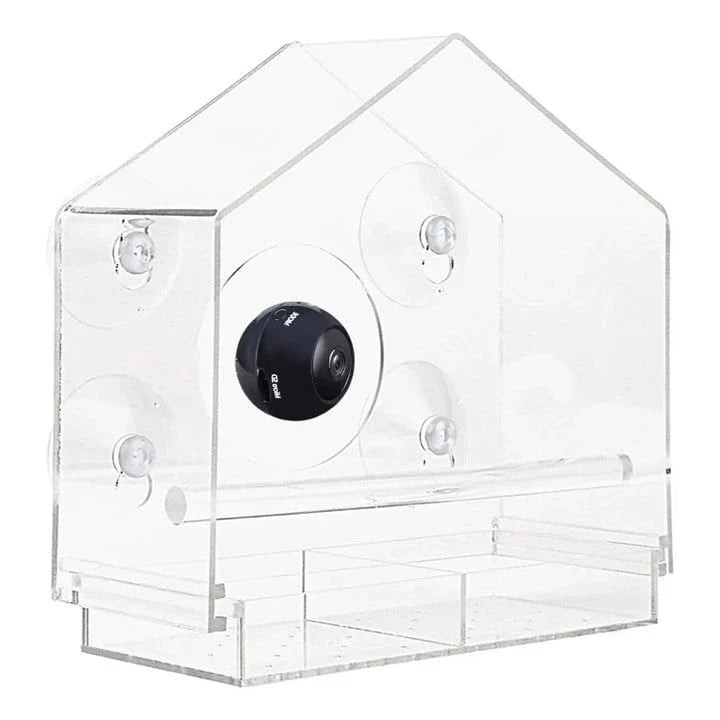 Smart Bird Feeder with Built-in Camera for Capturing Wild Birds in Your Backyard