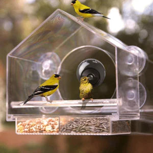 Smart Bird Feeder with Built-in Camera for Capturing Wild Birds in Your Backyard