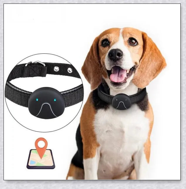 GPS Dog Tracker Collar with adjustable design and multiple positioning technologies for accurate real-time location tracking