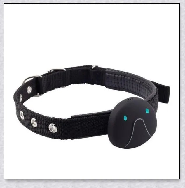 GPS Dog Tracker Collar with adjustable design and multiple positioning technologies for accurate real-time location tracking