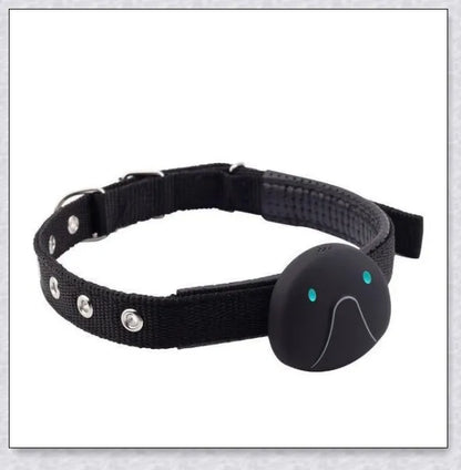 GPS Dog Tracker Collar with adjustable design and multiple positioning technologies for accurate real-time location tracking