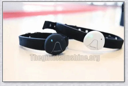 GPS Dog Tracker Collar with adjustable design and multiple positioning technologies for accurate real-time location tracking