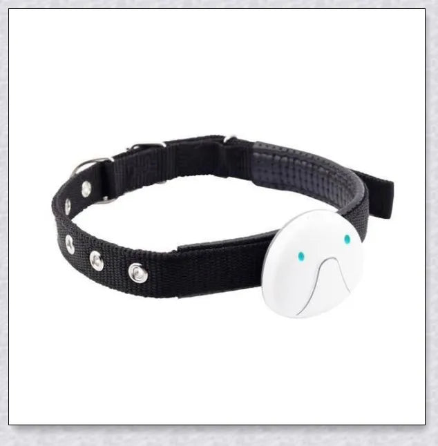 GPS Dog Tracker Collar with adjustable design and multiple positioning technologies for accurate real-time location tracking