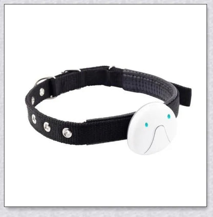 GPS Dog Tracker Collar with adjustable design and multiple positioning technologies for accurate real-time location tracking