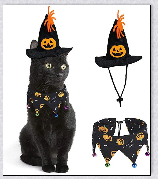 Adorable Halloween cat costume with pumpkin and spider pattern, featuring an adjustable collar and hat