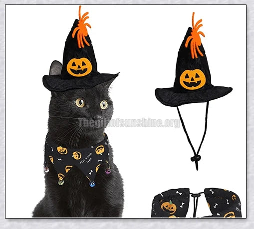 Adorable Halloween cat costume with pumpkin and spider pattern, featuring an adjustable collar and hat