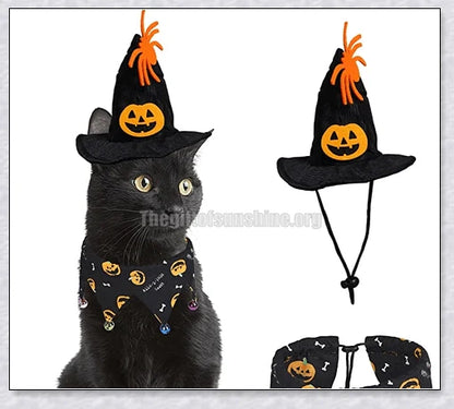 Adorable Halloween cat costume with pumpkin and spider pattern, featuring an adjustable collar and hat