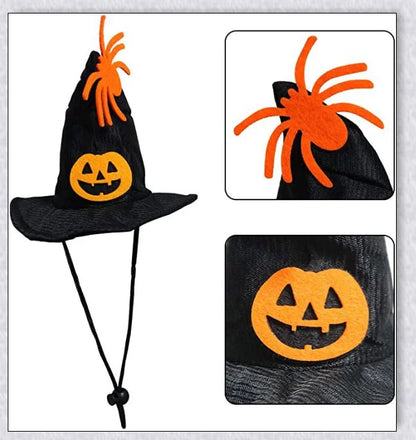 Adorable Halloween cat costume with pumpkin and spider pattern, featuring an adjustable collar and hat