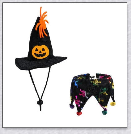 Adorable Halloween cat costume with pumpkin and spider pattern, featuring an adjustable collar and hat