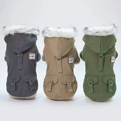 A close-up image of a small dog wearing a cozy and stylish cap-style dog coat in a neutral color.