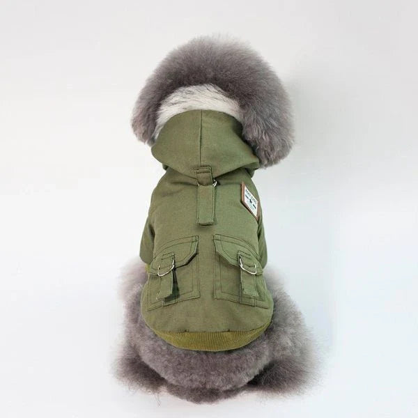 A close-up image of a small dog wearing a cozy and stylish cap-style dog coat in a neutral color.
