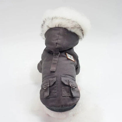 A close-up image of a small dog wearing a cozy and stylish cap-style dog coat in a neutral color.