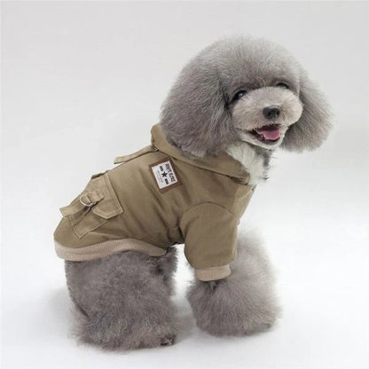 A close-up image of a small dog wearing a cozy and stylish cap-style dog coat in a neutral color.