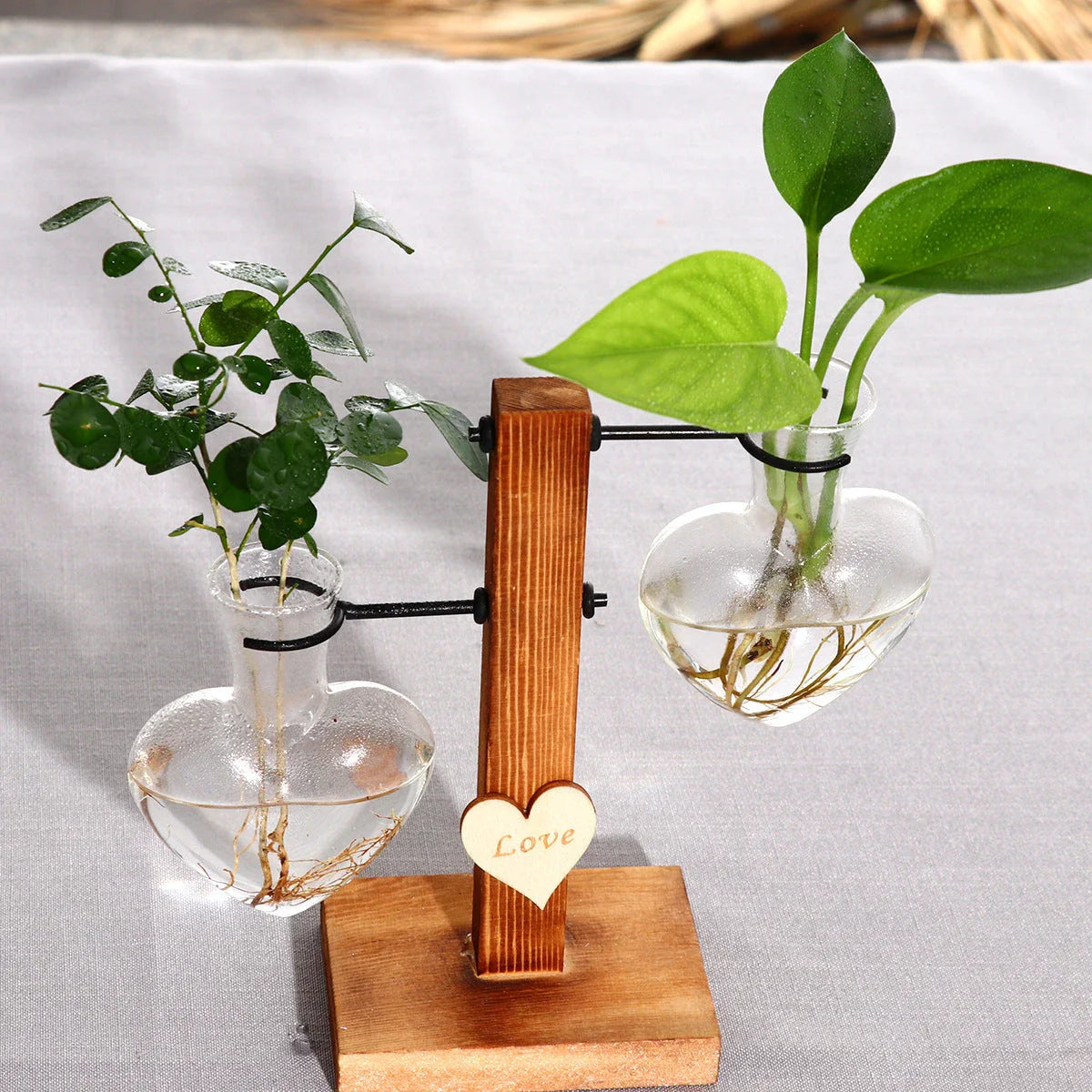 Elegant heart-shaped glass terrarium with wooden stand, showcasing a natural, minimalist design perfect for indoor plant display or decorative accents.