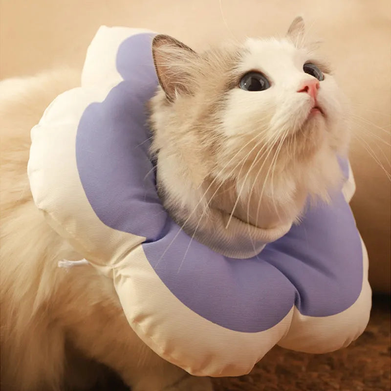 Cat flower cotton neck collar for pets adjustable anti-bite surgical cone alternative head cover in multiple colours with solar flower detail, available in XS, S and M sizes for post-operative recovery or behaviour management